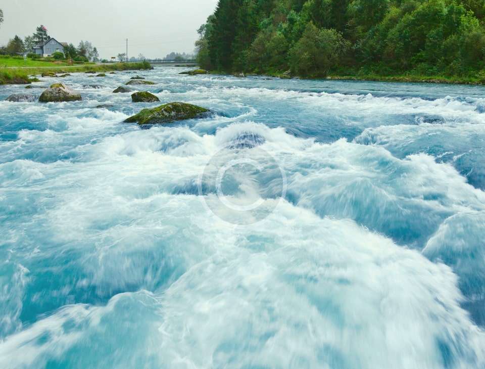 HABİTAT’a Katıldı